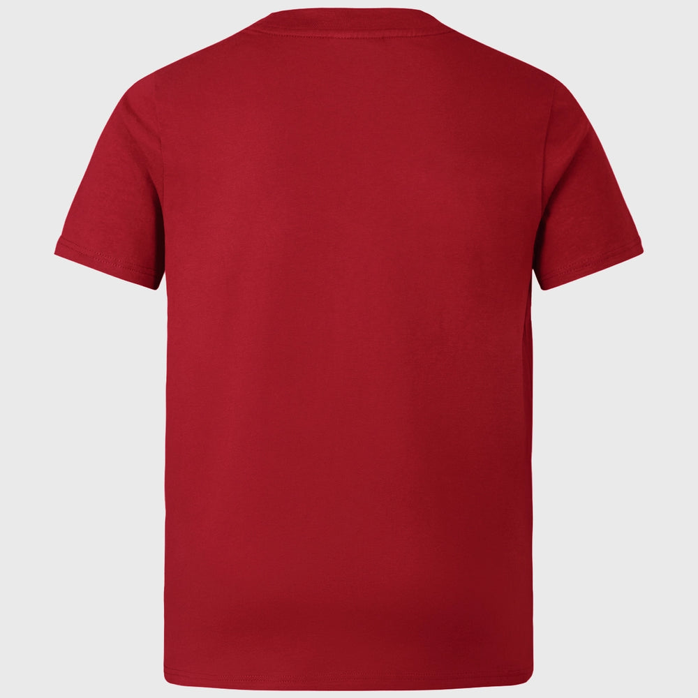 Canterbury British & Irish Lions Kid's Cotton Tee Red - Rugbystuff.com