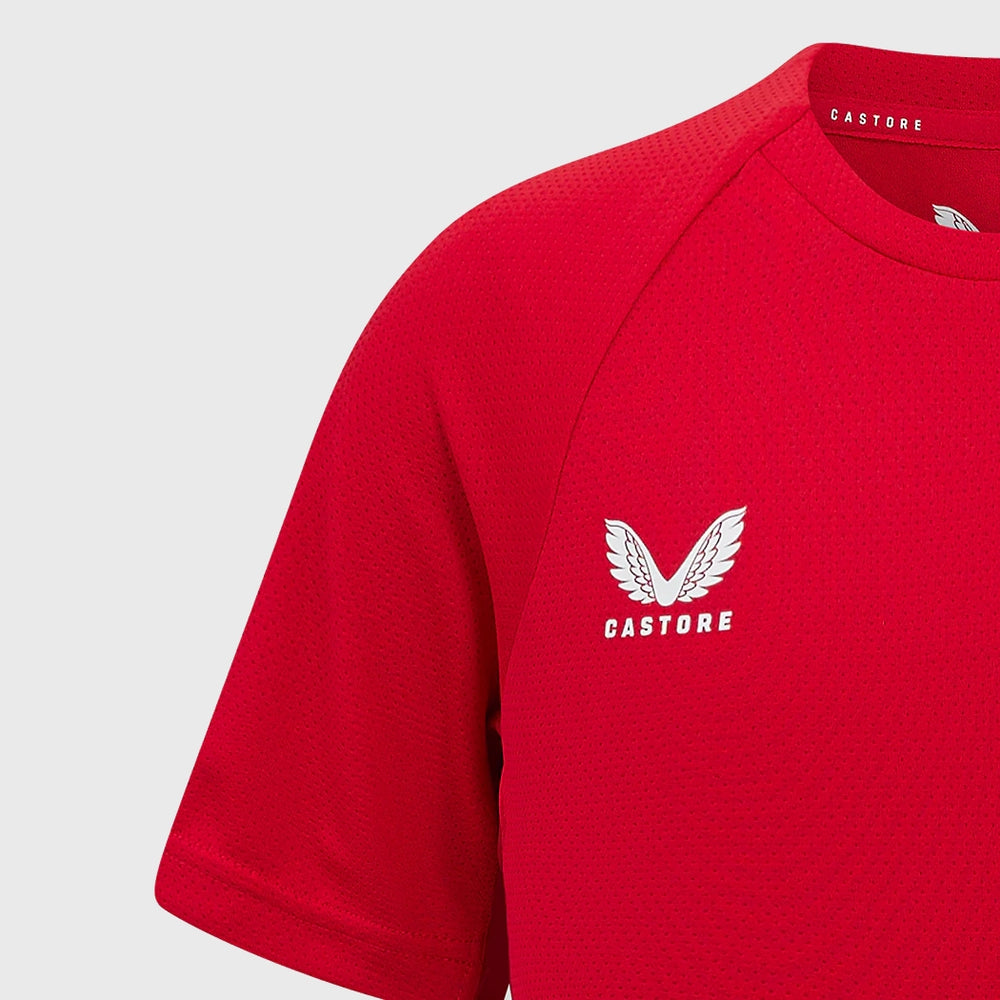 Castore Scarlets Rugby Training Tee Red - Rugbystuff.com