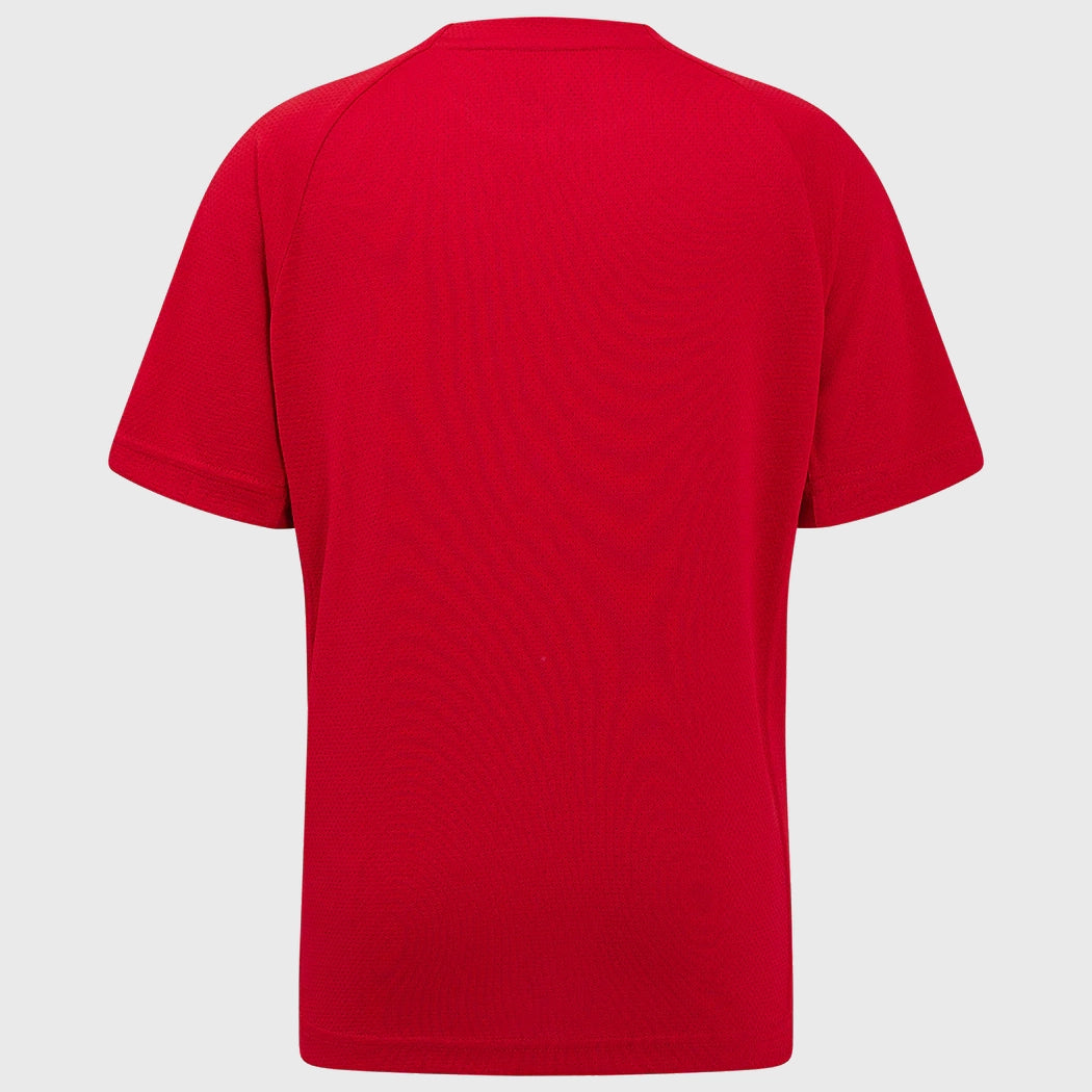 Castore Scarlets Rugby Training Tee Red - Rugbystuff.com