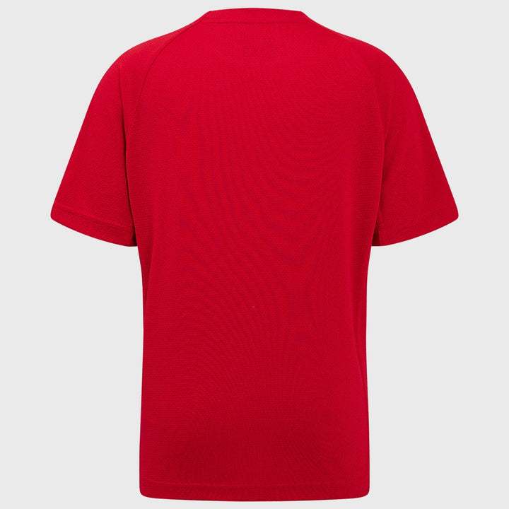 Castore Scarlets Rugby Training Tee Red - Rugbystuff.com