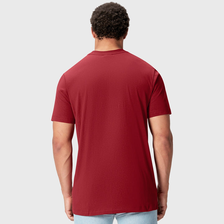 Canterbury British & Irish Lions Men's Cotton Tee Red - Rugbystuff.com