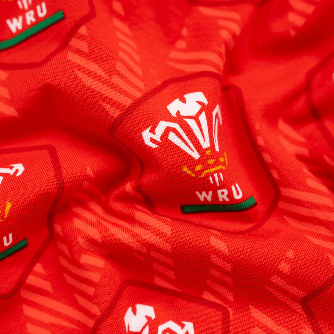 OddBalls Wales Rugby Flame Boxer Shorts - Rugbystuff.com