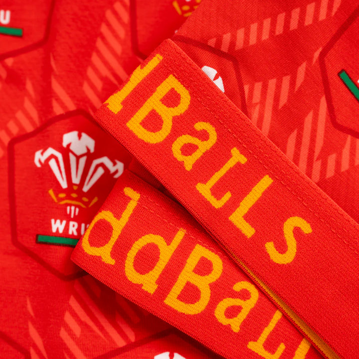 OddBalls Wales Rugby Flame Boxer Shorts - Rugbystuff.com